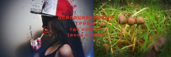 меф Арсеньев
