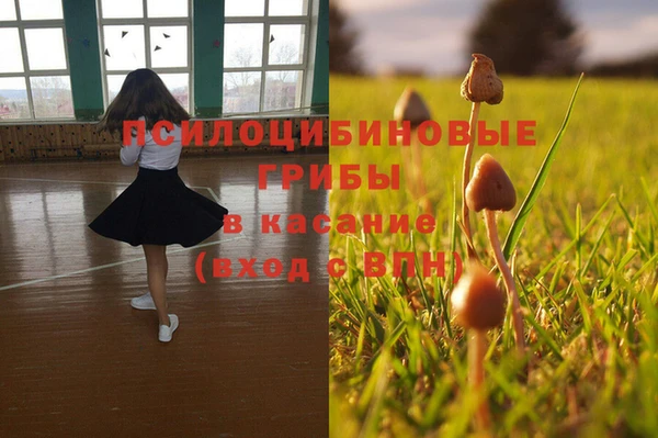 apvp Алексин